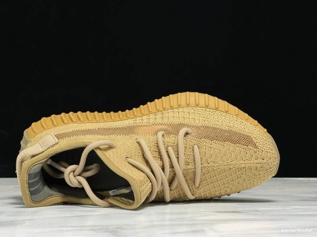 V2 350 Boost FX9033 Adidas Earth Yeezy 0819